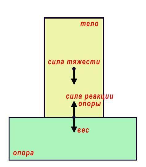 Общие сведения о понятии «сила веса»